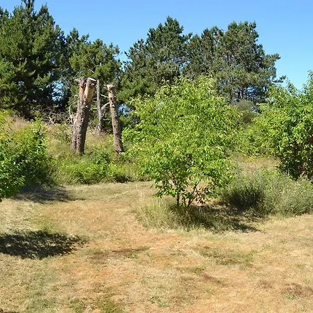 Romo Ferienhaus Sønderby